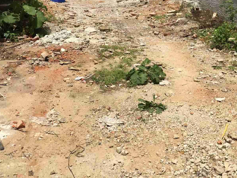Construction Debris After Services